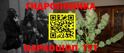 амф Будённовск