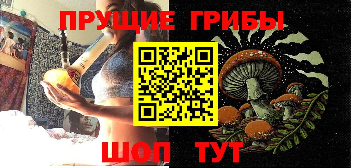 Псилоцибиновые грибы Cubensis Новошахтинск