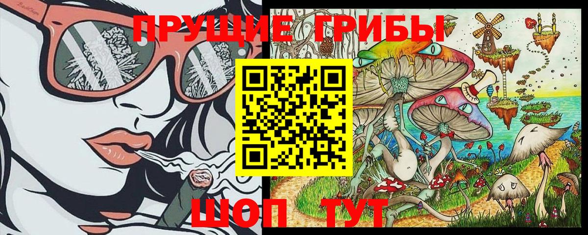 Псилоцибиновые грибы Magic Shrooms  Псилоцибиновые грибы Magic Shrooms  Вход с VPN  Новошахтинск 